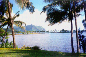 Kahaluu Fish Pond