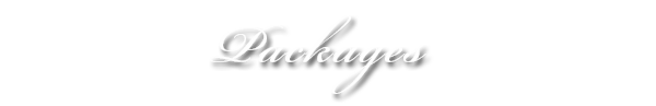 Wedding Packages